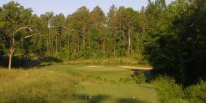 Waterford Golf Club - Hole 5