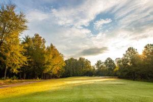 Waterford Golf Club - Hole 11